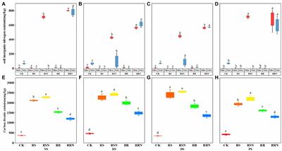 Rice straw increases microbial nitrogen fixation, bacterial and nifH genes abundance with the change of land use types